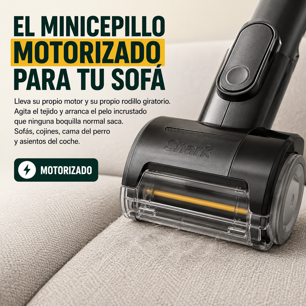 El sofá donde duerme tu perro vuelve a ser un sofá